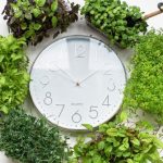 Global Future - Clock surrounded with Plants